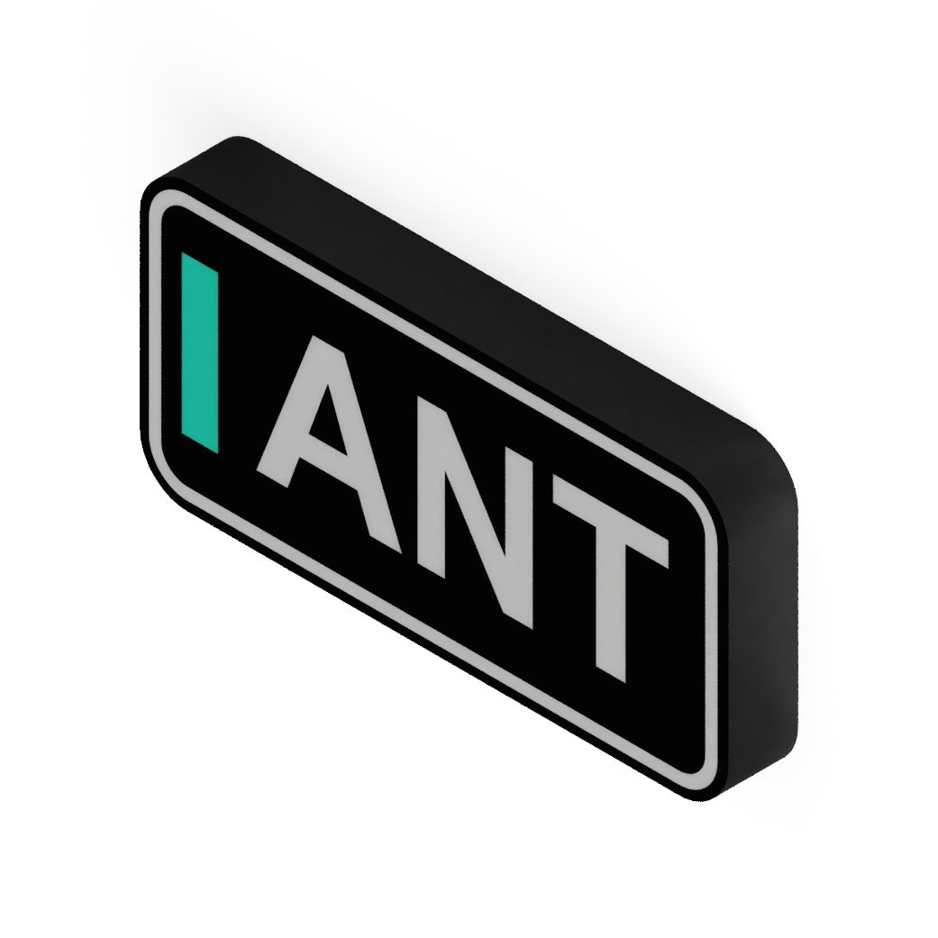 F1 Fahrer-LED ANT - LEDaura personalisierte LED-Leuchte