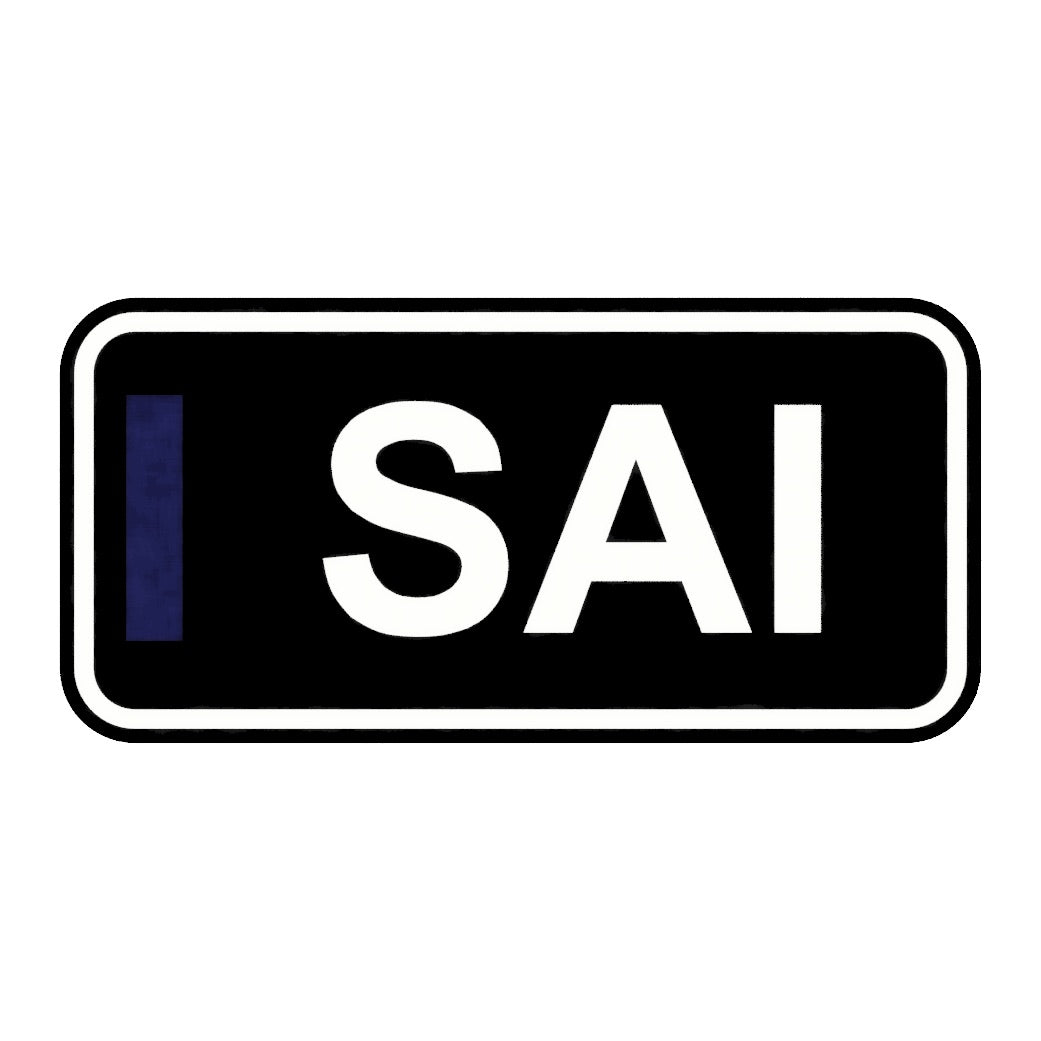 F1 Fahrer-LED SAI - LEDaura personalisierte LED-Leuchte